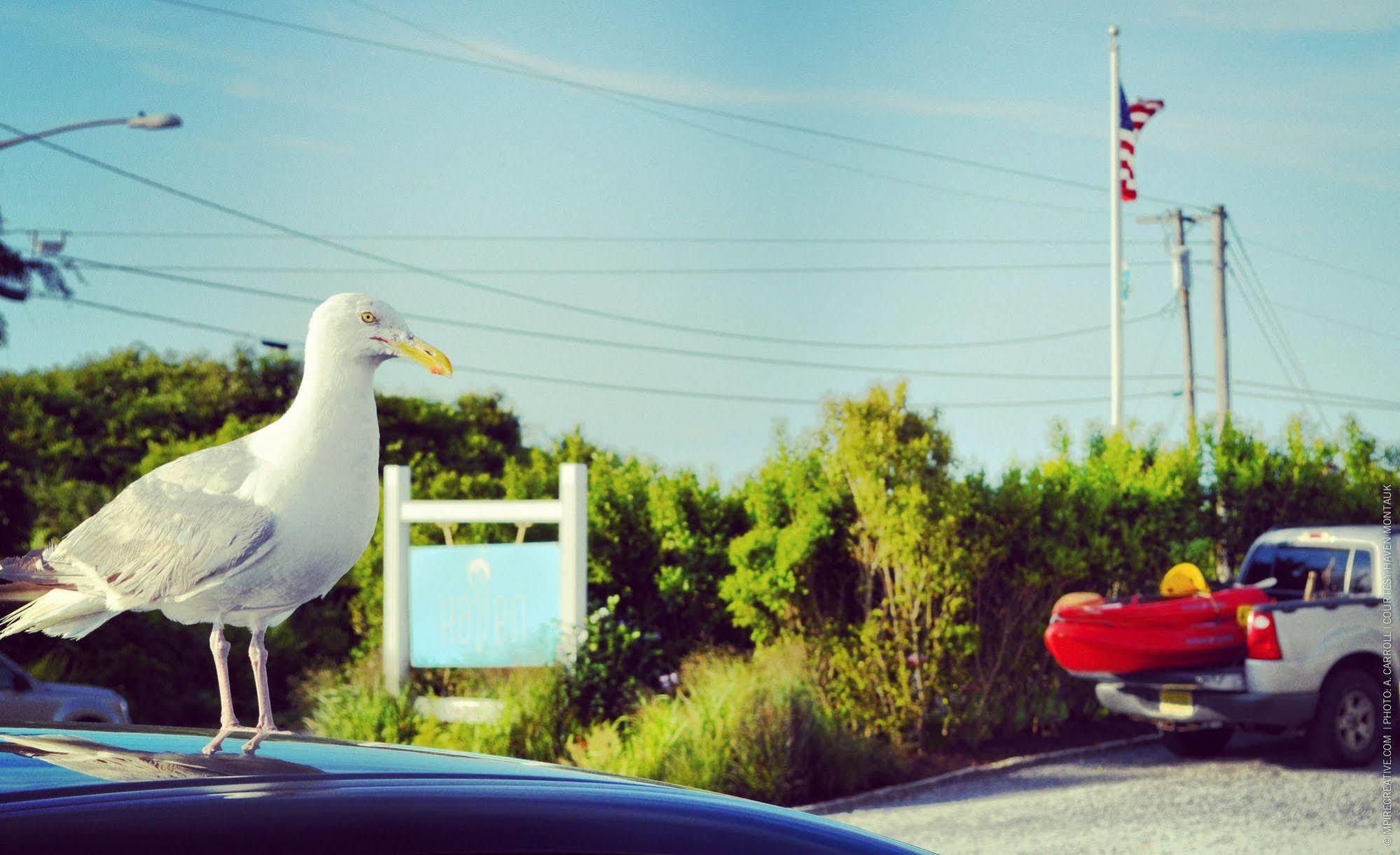 Haven Montauk Hotel Luaran gambar